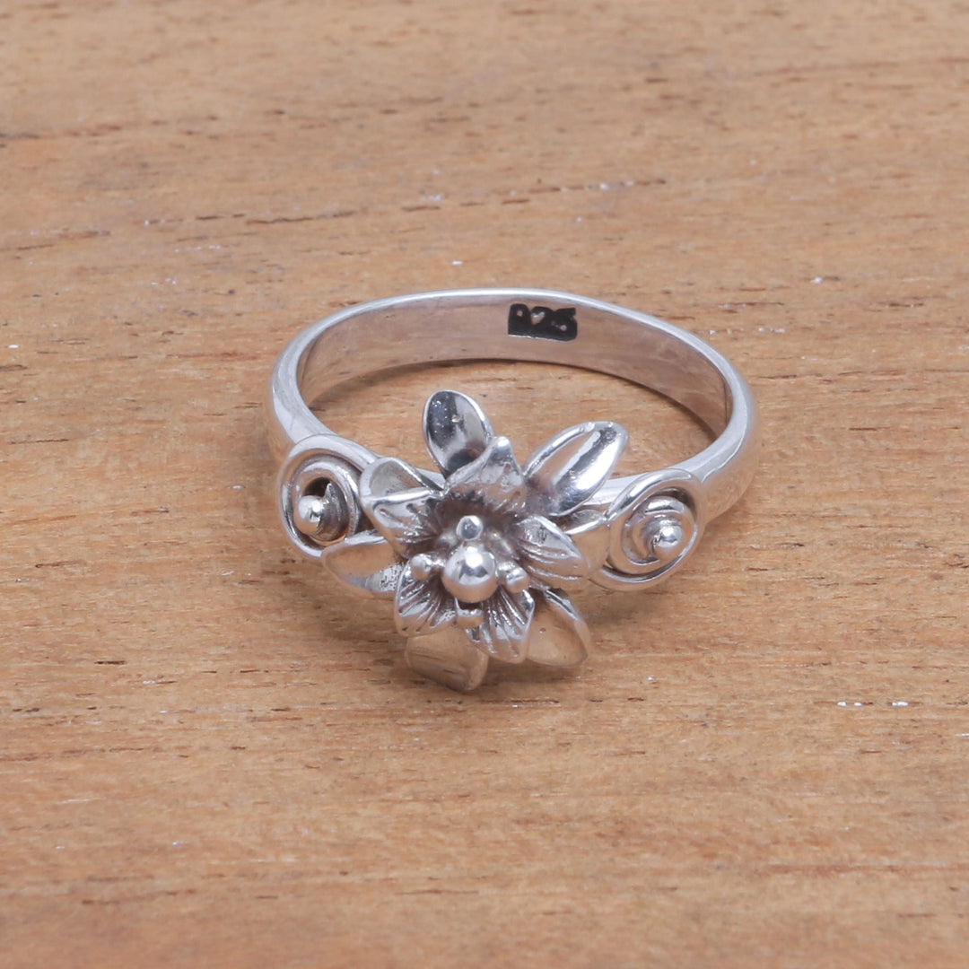 Dreamy Lotus