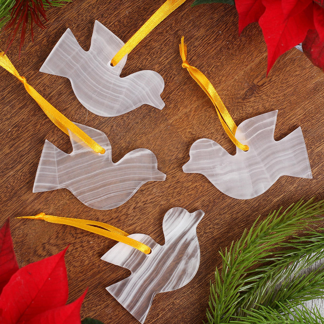 Purity of the Dove