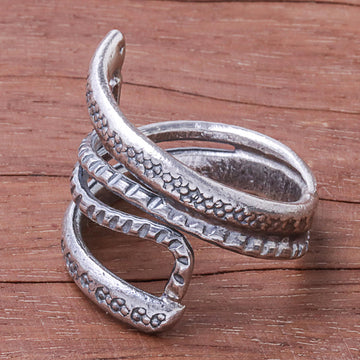 Oxidized Snake Path