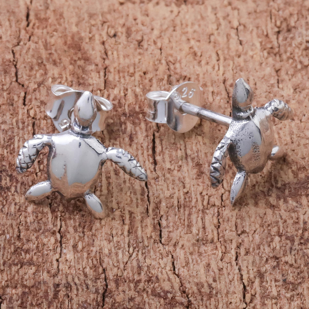 Sterling Silver Sea Turtle Stud Earrings from Thailand - Sea Turtle Bliss