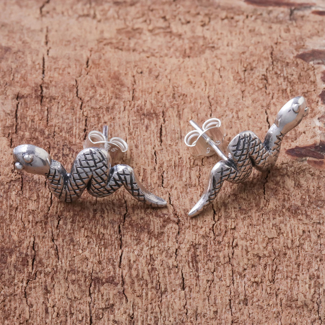 Sterling Silver Snake Button Earrings from Thailand - Cute Snakes