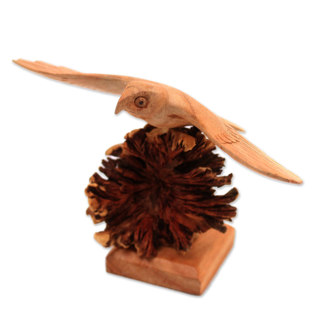 Wood Eagle Sculpture by a Balinese Artist - Alighting Eagle