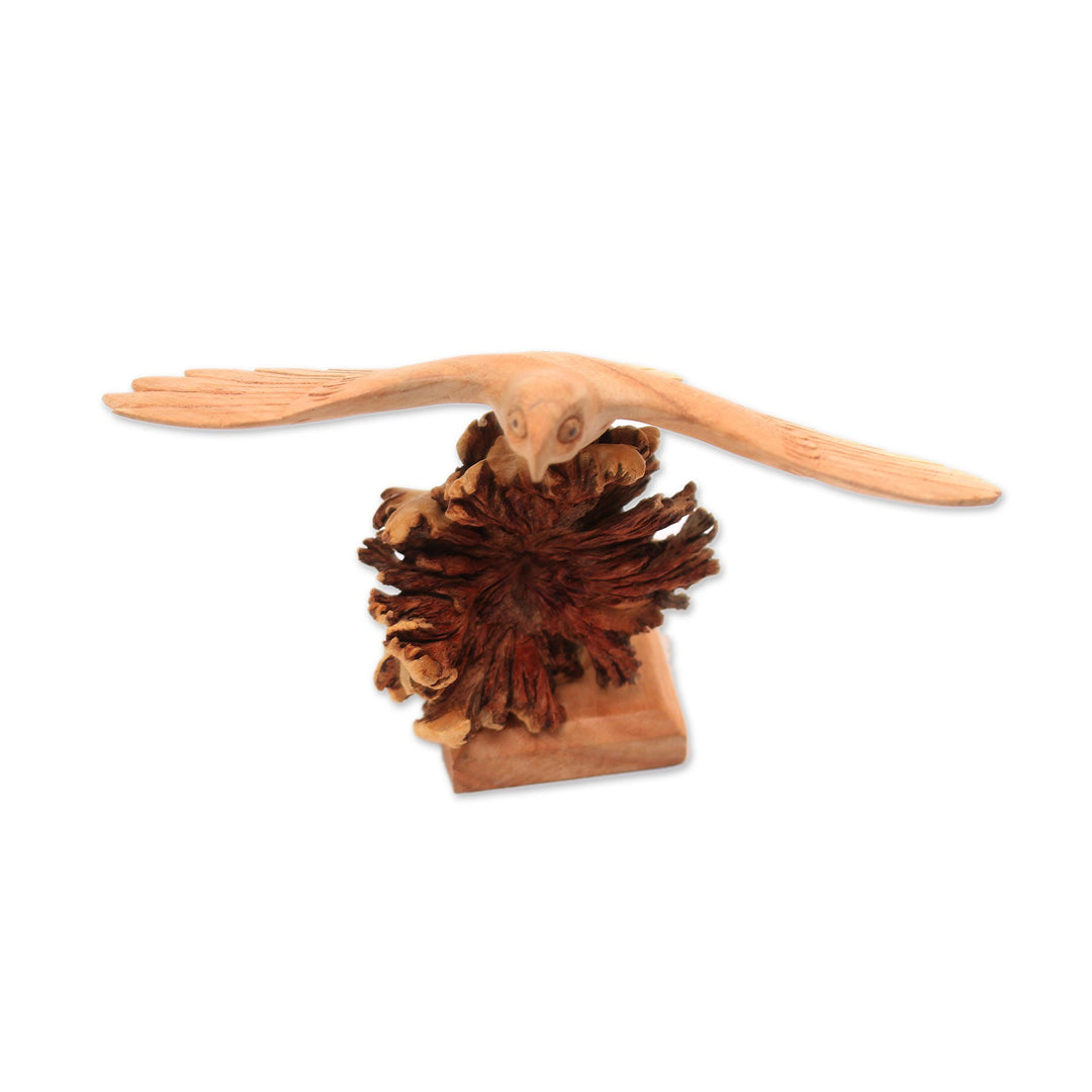 Wood Eagle Sculpture by a Balinese Artist - Alighting Eagle