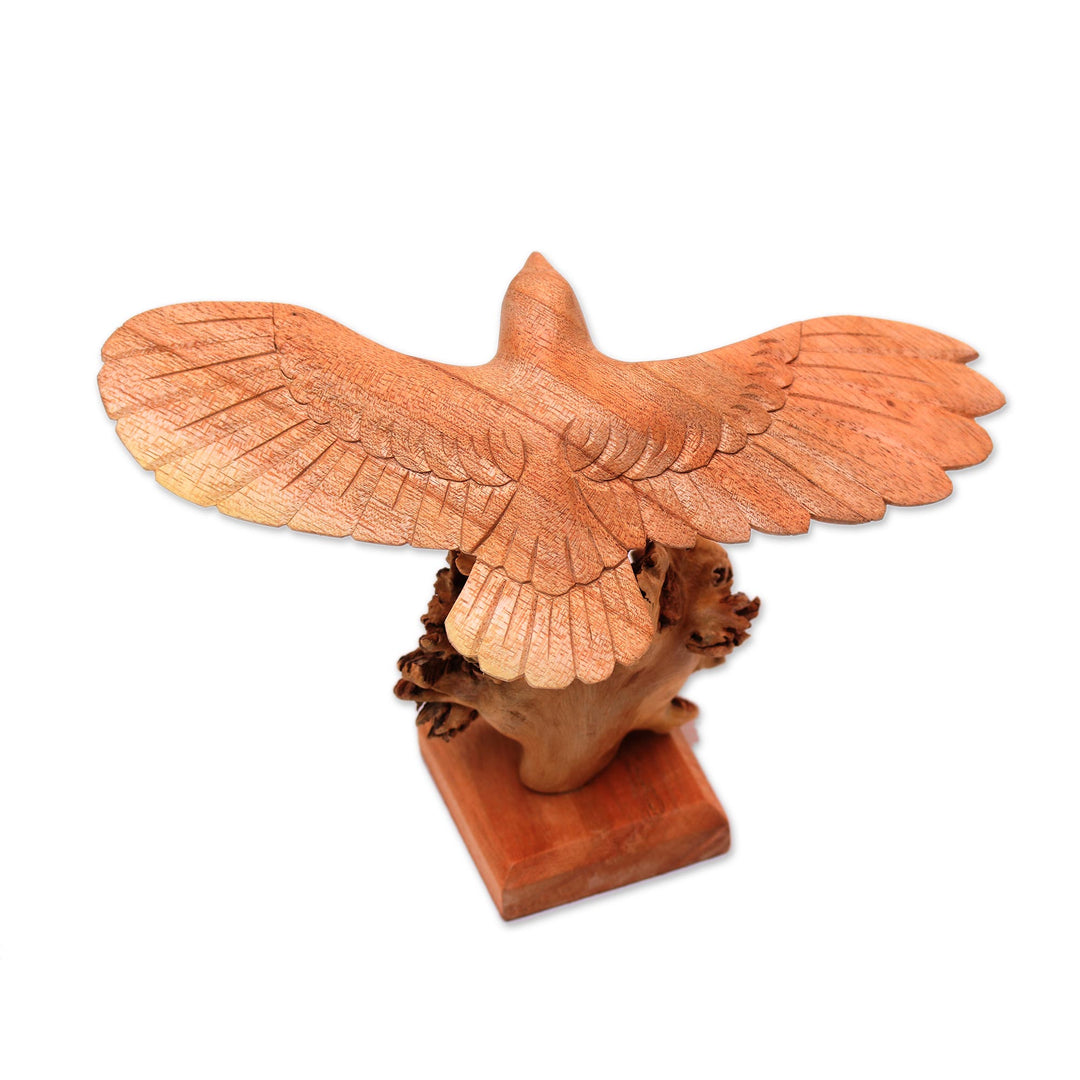 Wood Eagle Sculpture by a Balinese Artist - Alighting Eagle