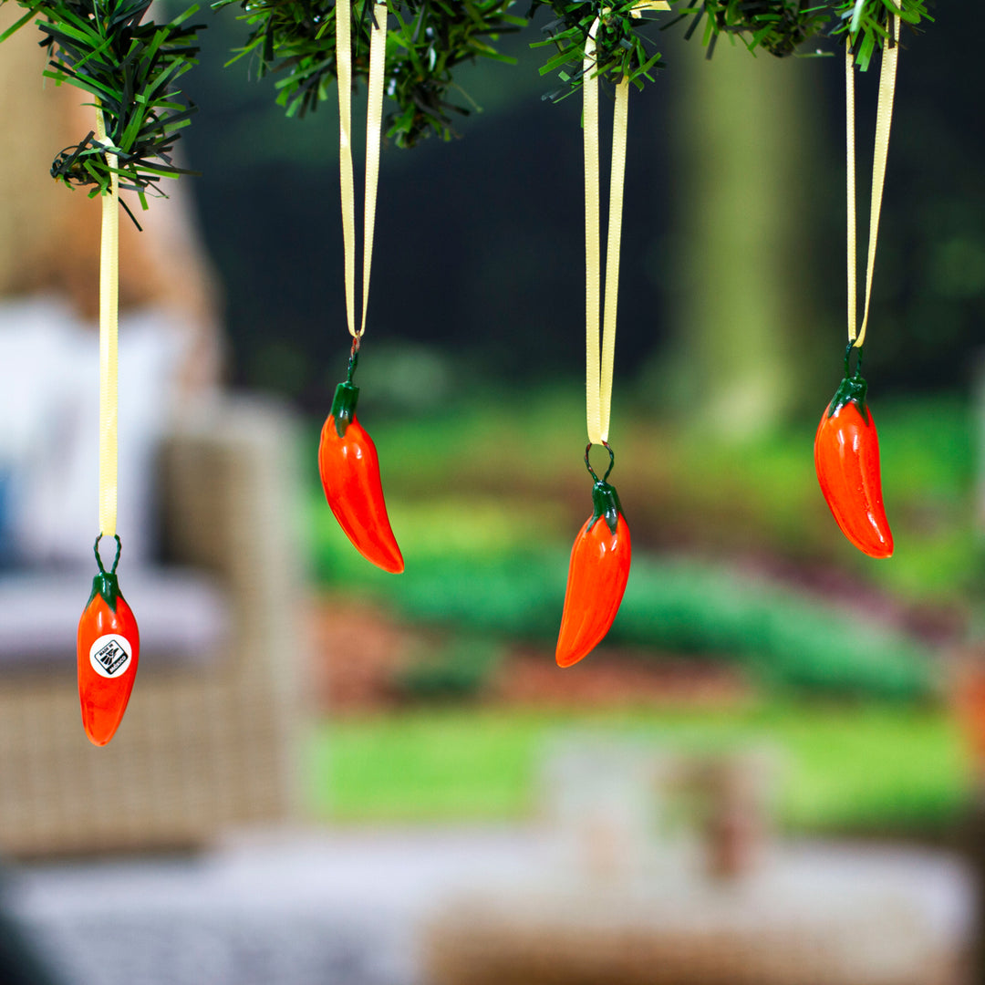 Serrano Peppers in Orange