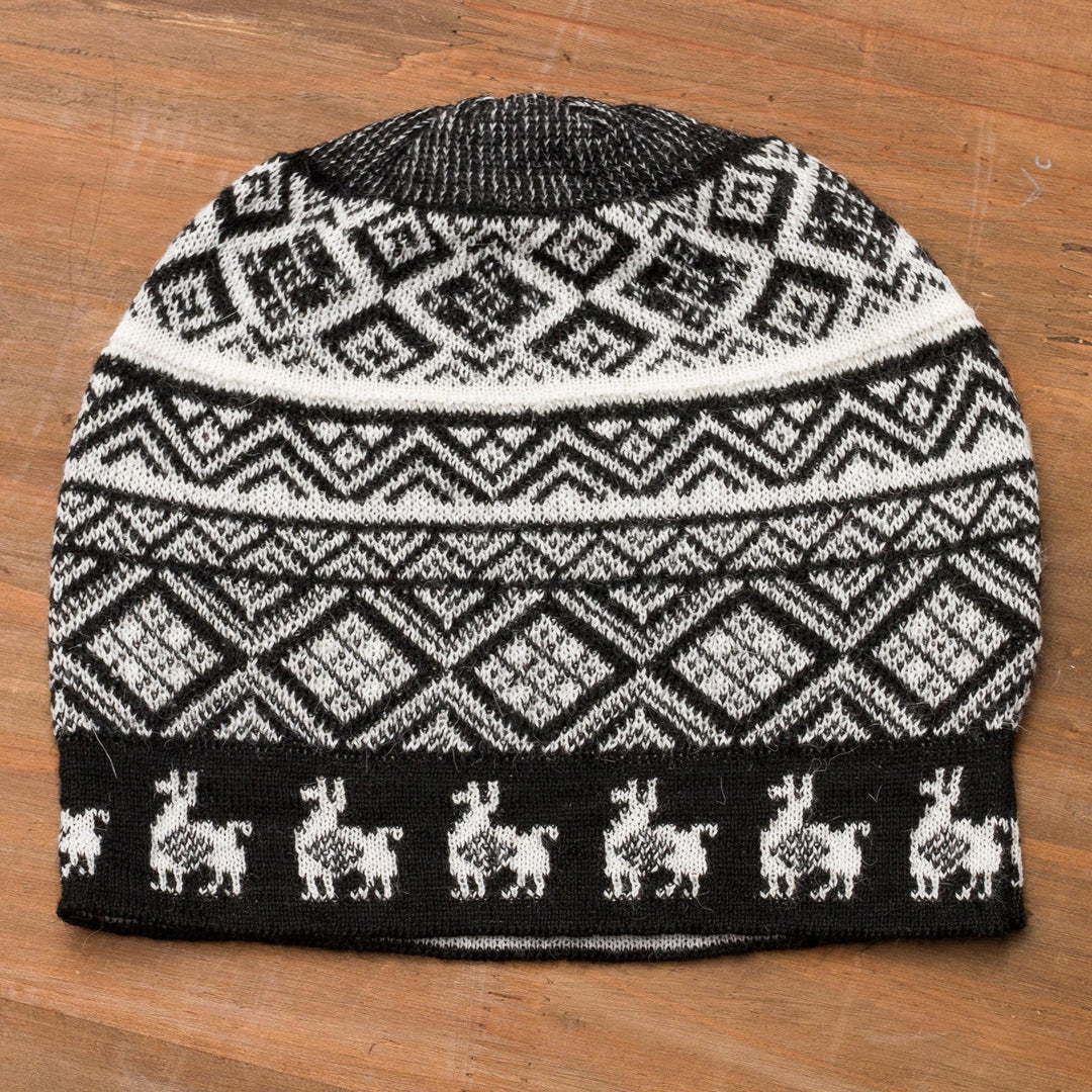 Alpaca Parade in Black