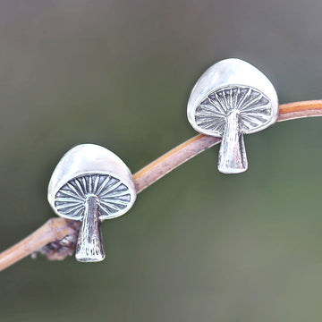 Gleaming Mushrooms