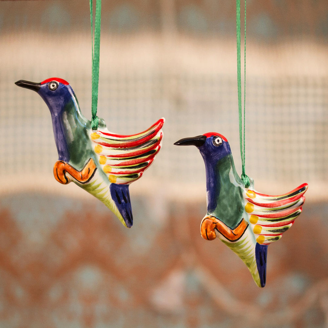 Elegant Hummingbirds