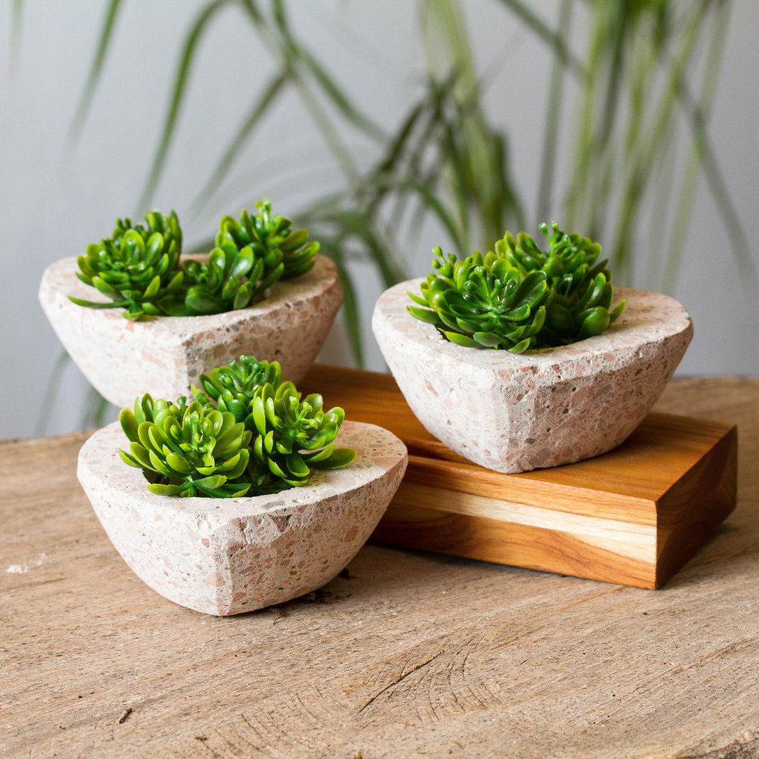Lovely Plants