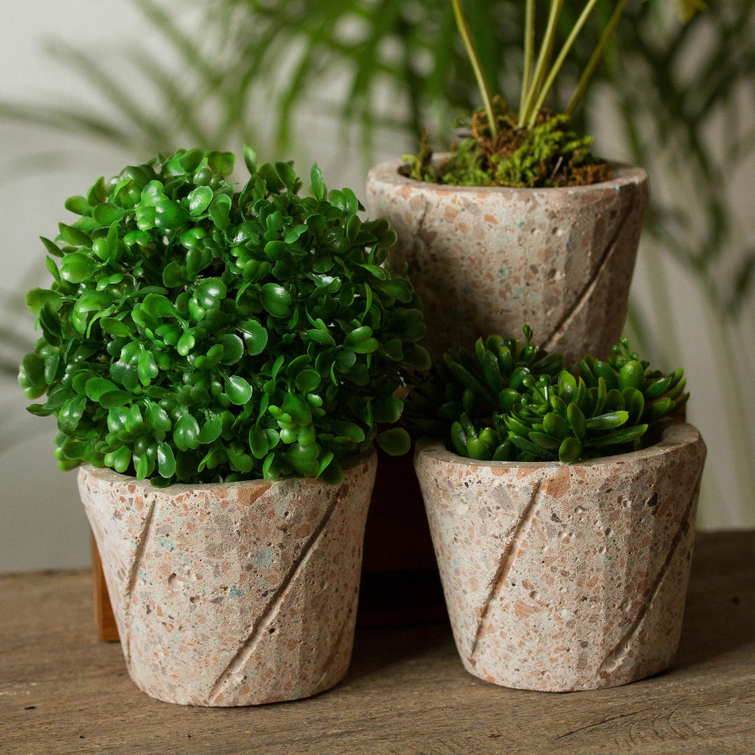 Plant Stripes