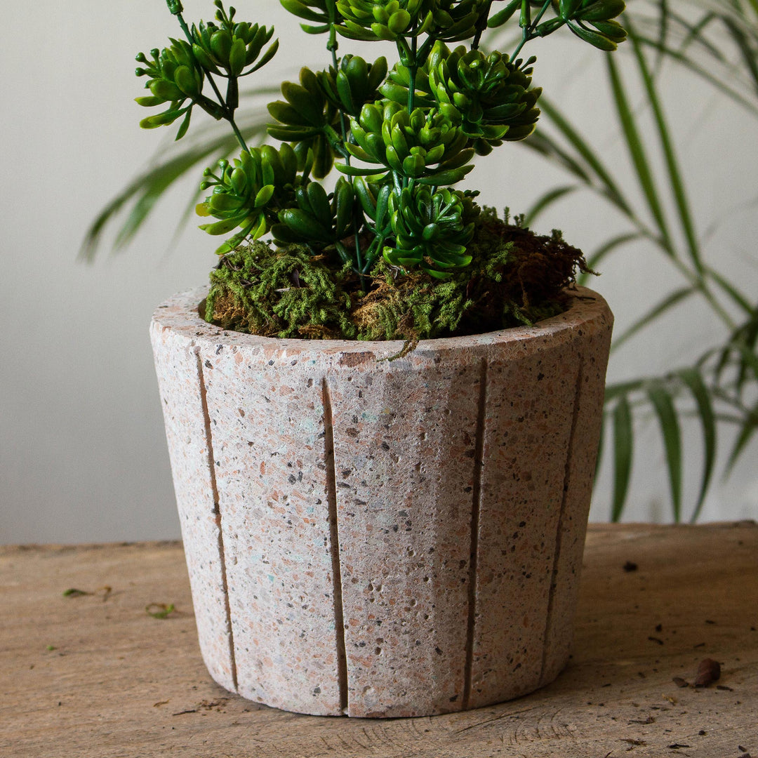 Verdant Container