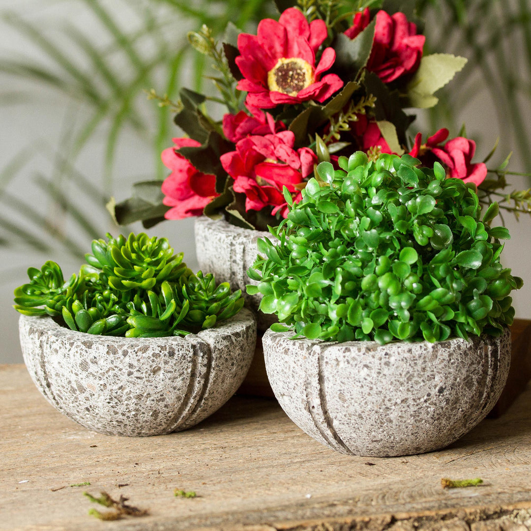 Petite Fleurs