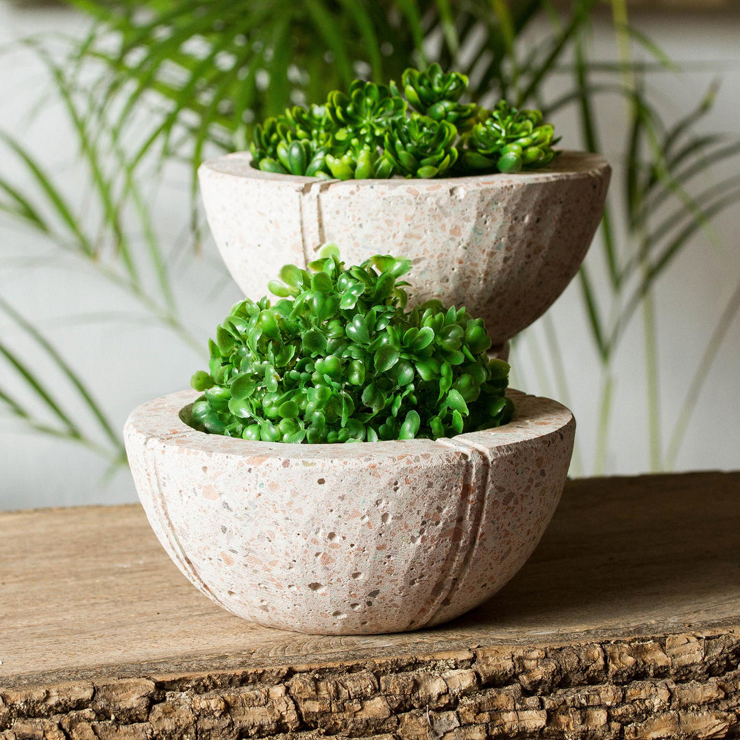 Verdant Bowls
