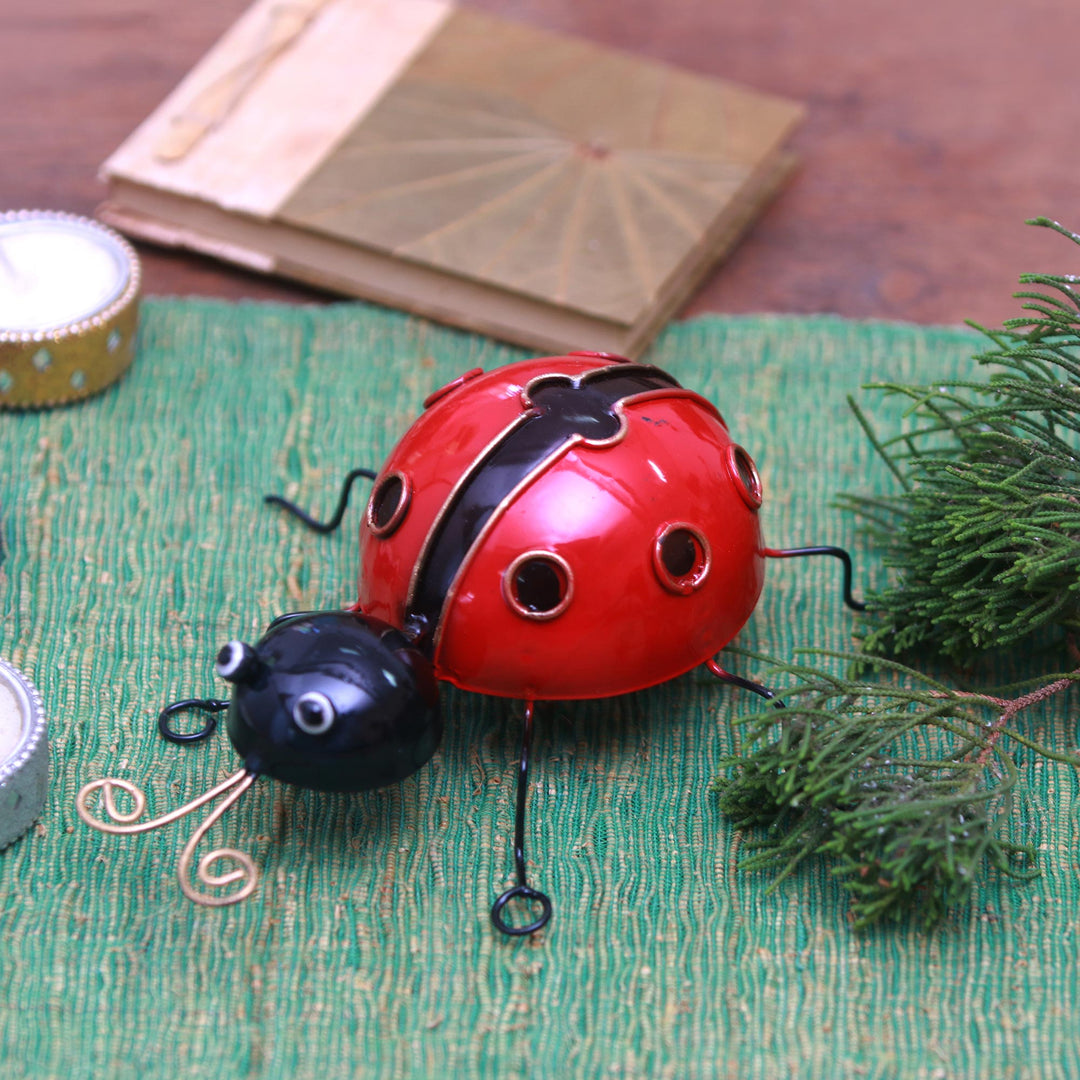Charming Lady Bug