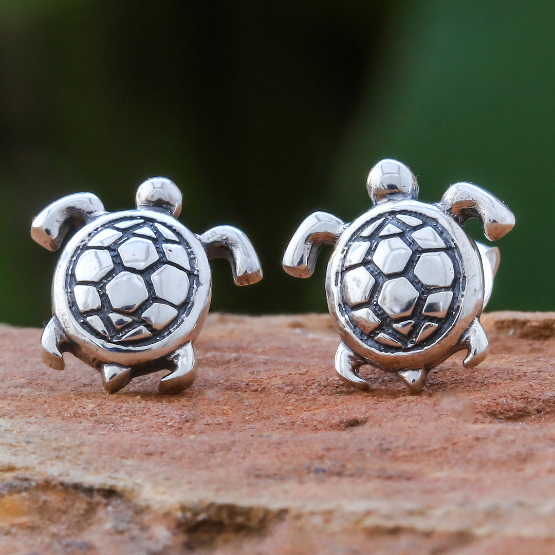 Tiny Turtles