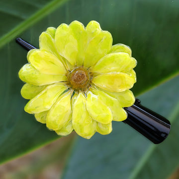 Yellow Aster Passion