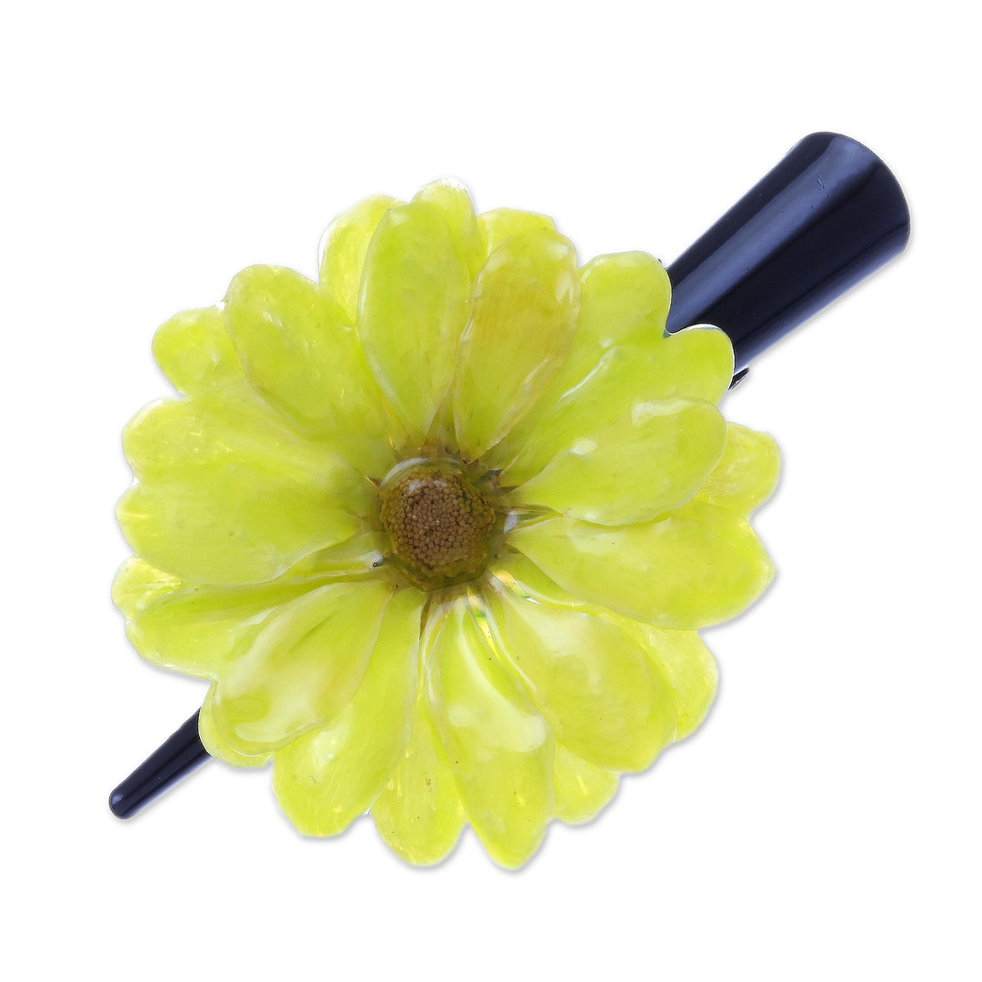 Natural Yellow Aster Hair Clip from Thailand - Yellow Aster Passion
