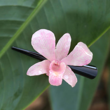 Pink Orchid Love