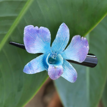 BlueViolet Orchid Love