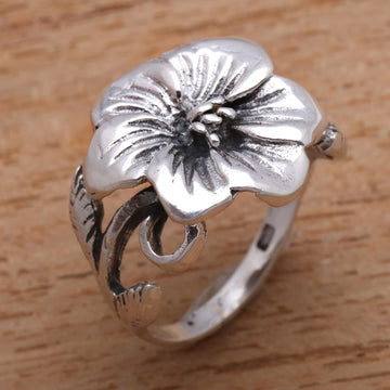 Fascinating Bloom