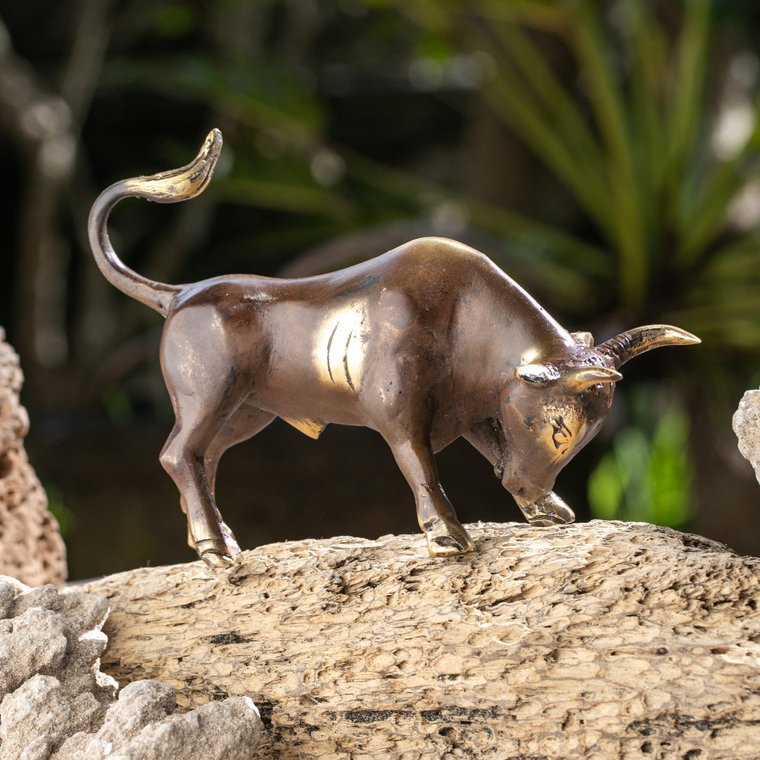 Steadfast Bull