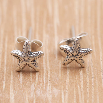 Cute Starfish
