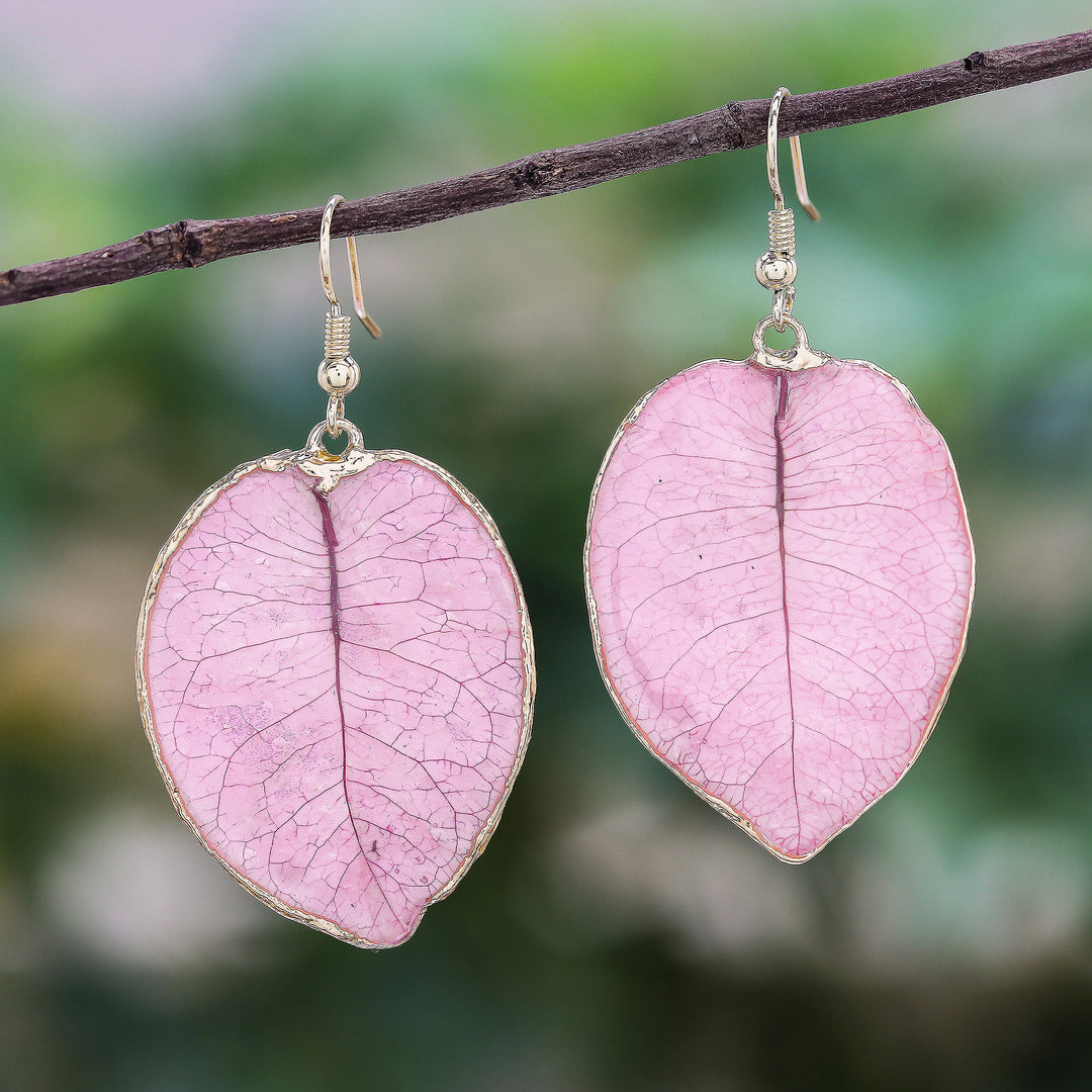 Bougainvillea Love in Pink