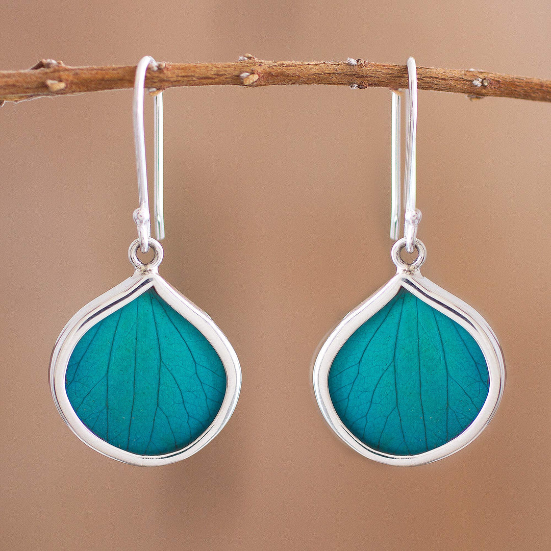 Leaf Drops in Aqua