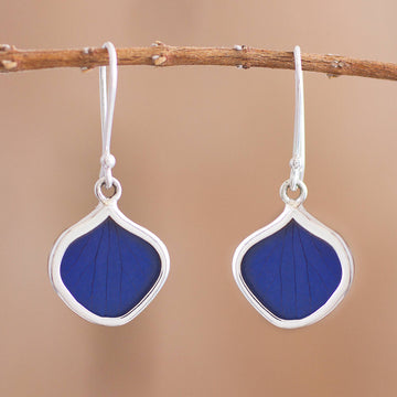 Leaf Drops in Blue