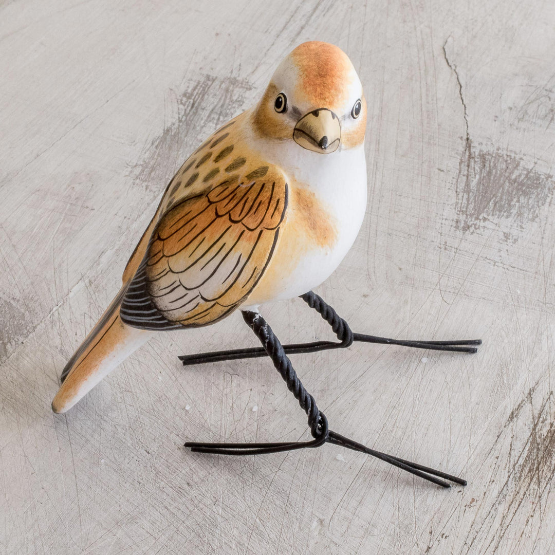 Snow Bunting