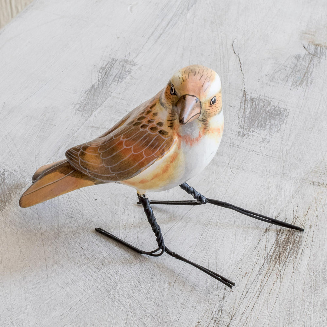 Rustic Bunting