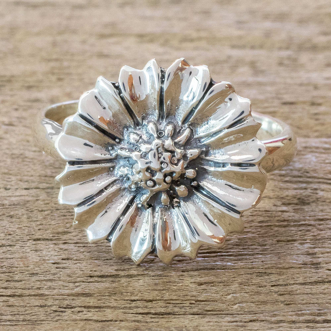 Gerbera