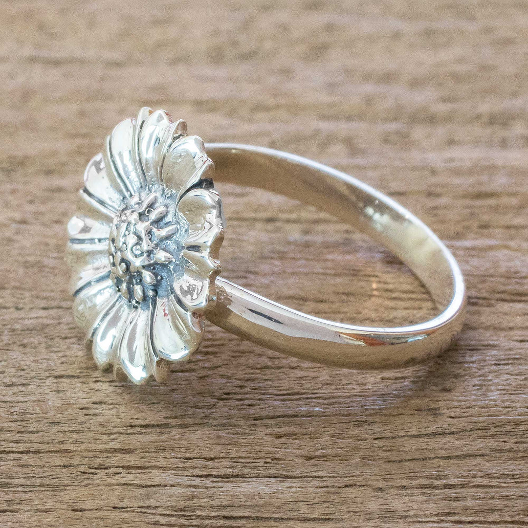 Gerbera