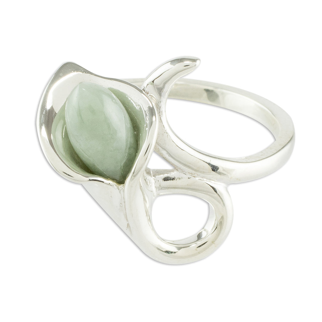 Mixco Lily in Light Green