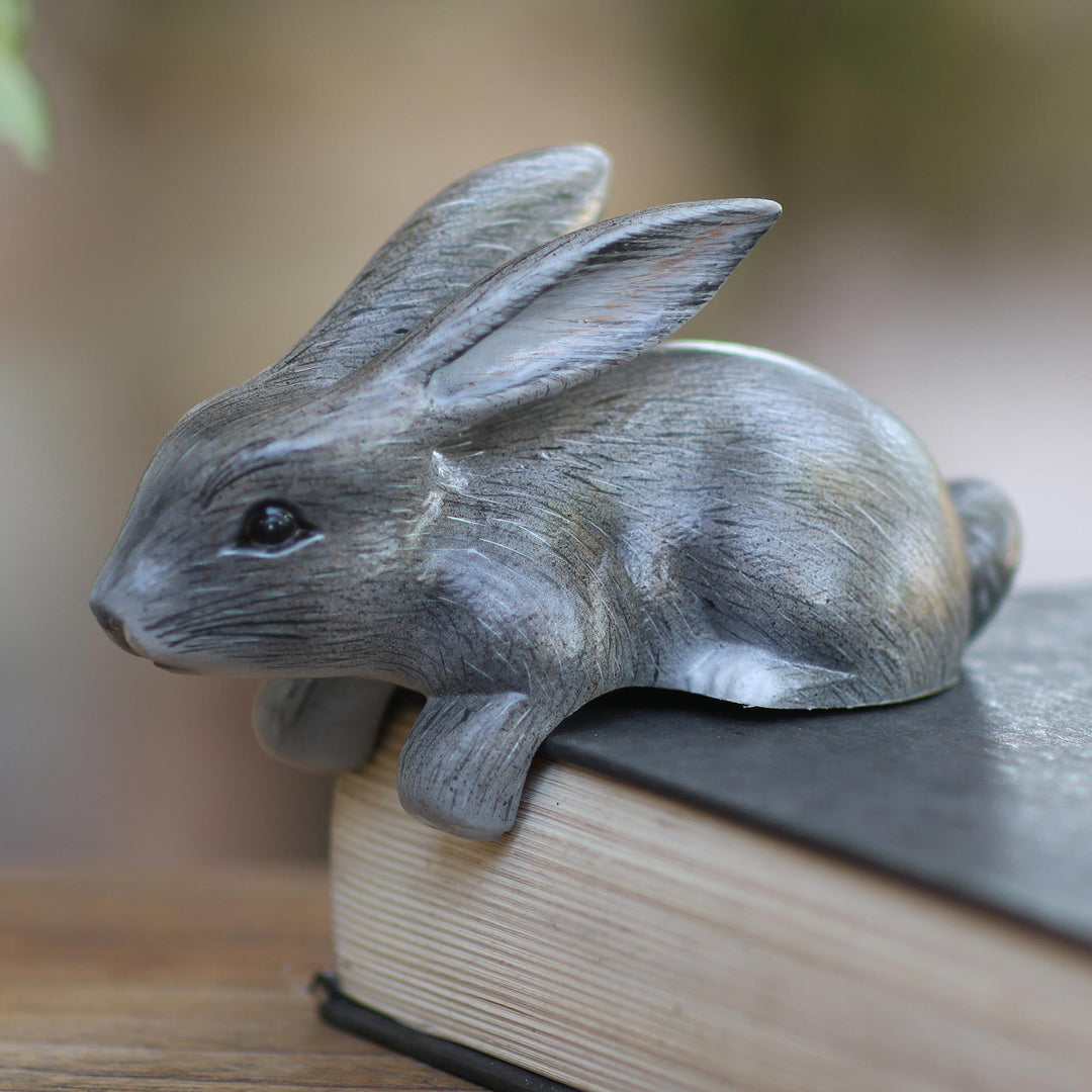 Curious Rabbit in Grey