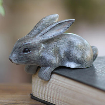 Curious Rabbit in Grey