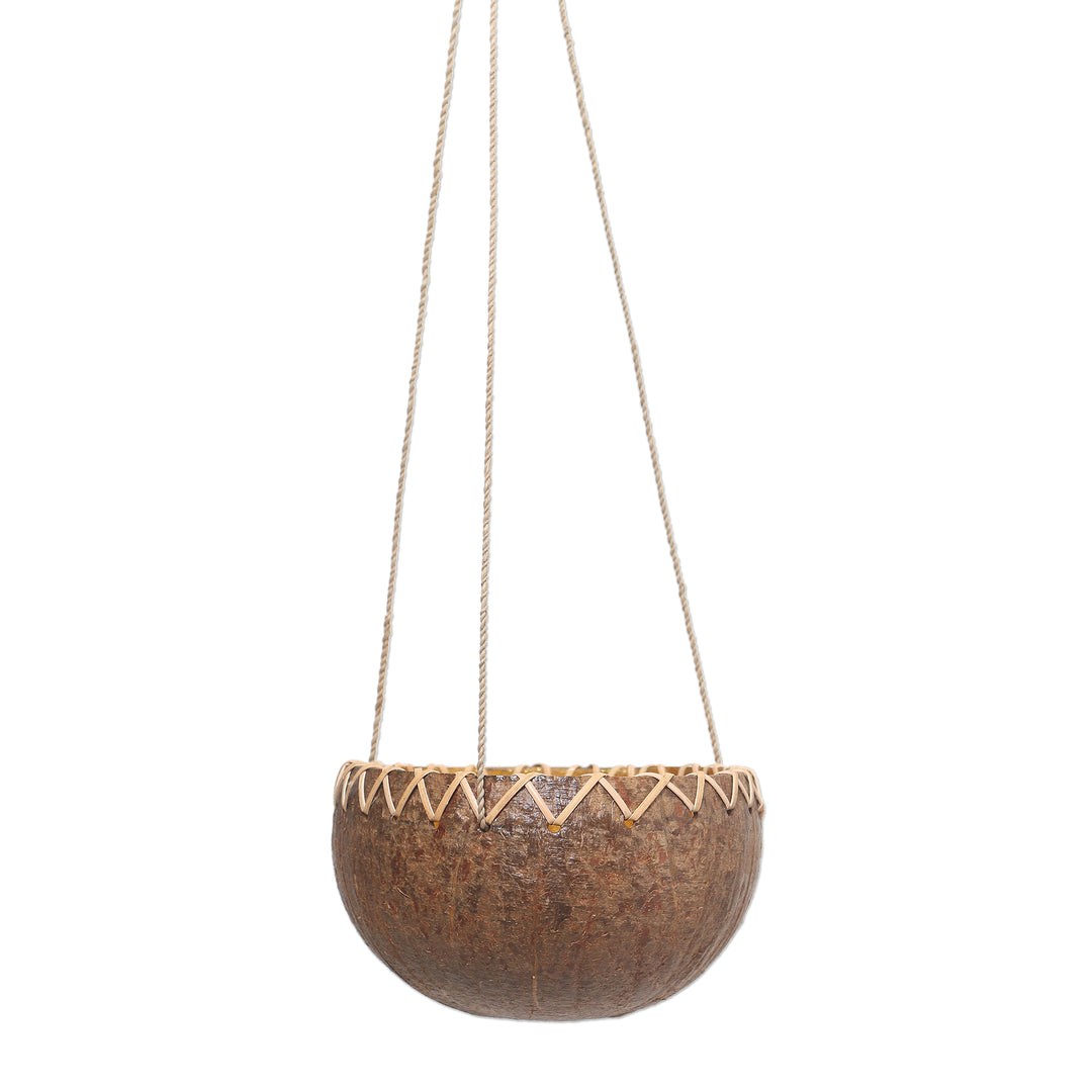 Hanging Coconut Shell Plant Pot - In the Rough