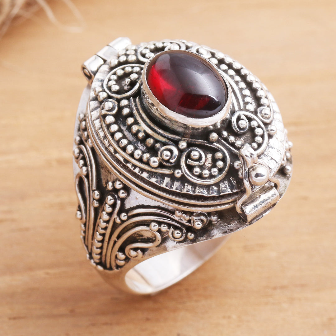 The Secret in Red