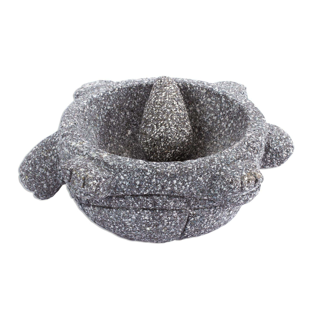 Basalt Mortar and Pestle in a Tortoise Shape - Tortoise Tradition