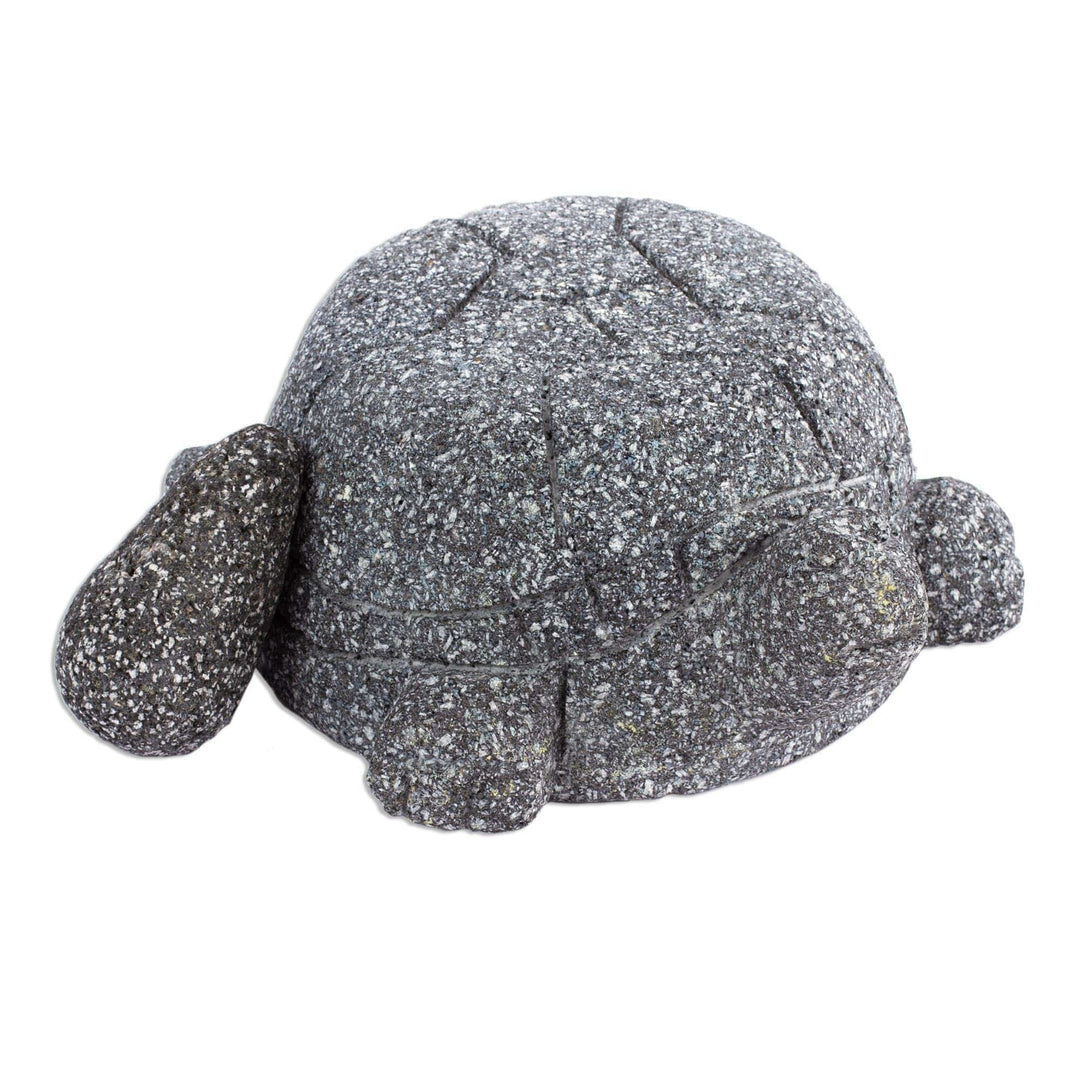Basalt Mortar and Pestle in a Tortoise Shape - Tortoise Tradition