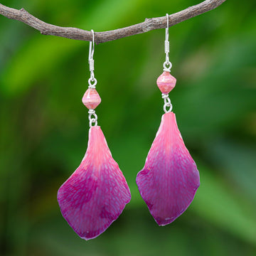 Forever Orchid in Fuchsia