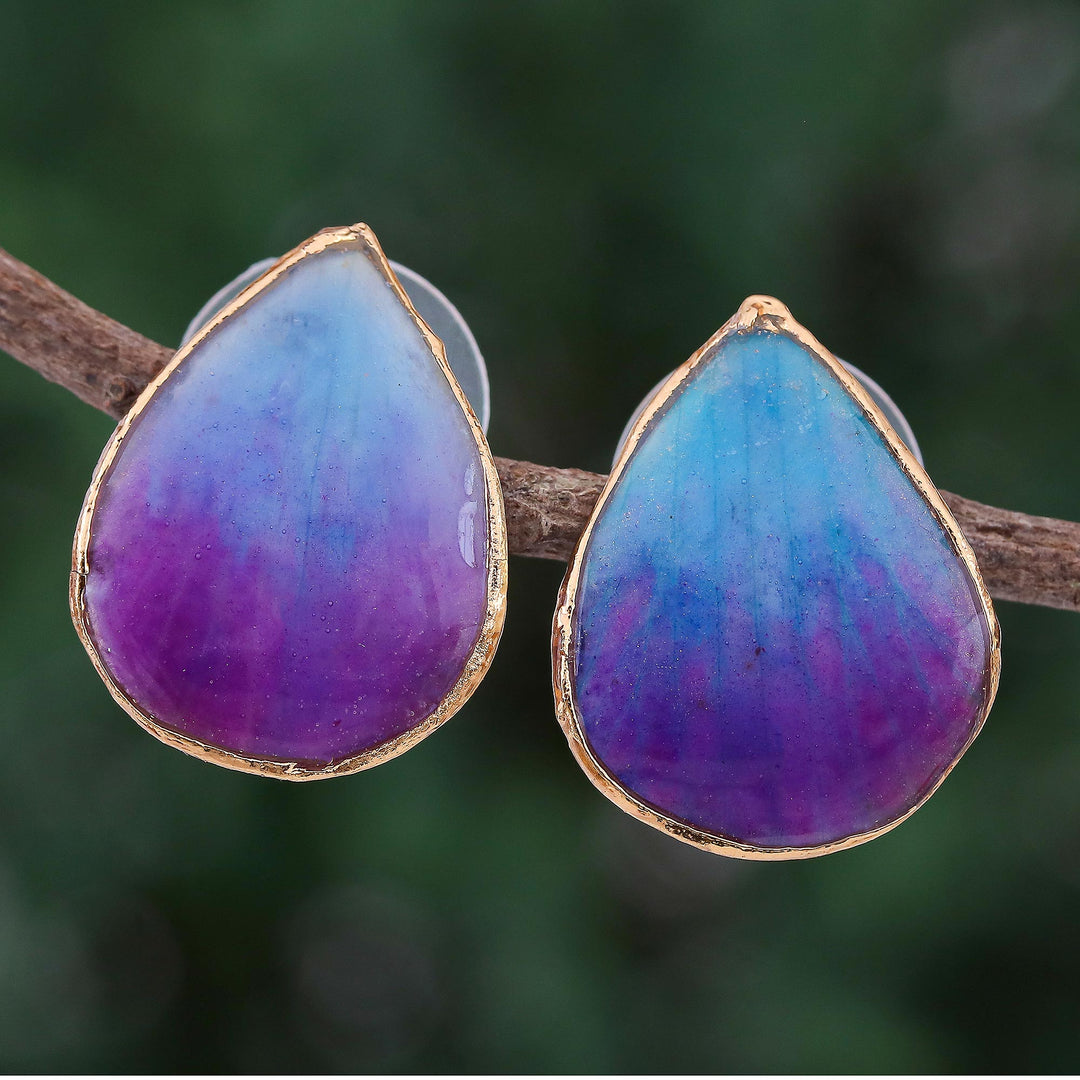 Mini Rock Orchid in Blue