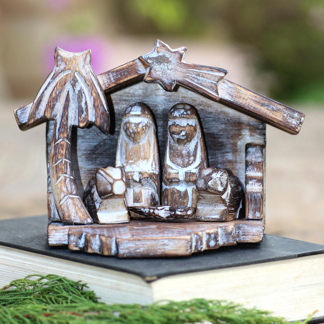 Nativity in the Tropics