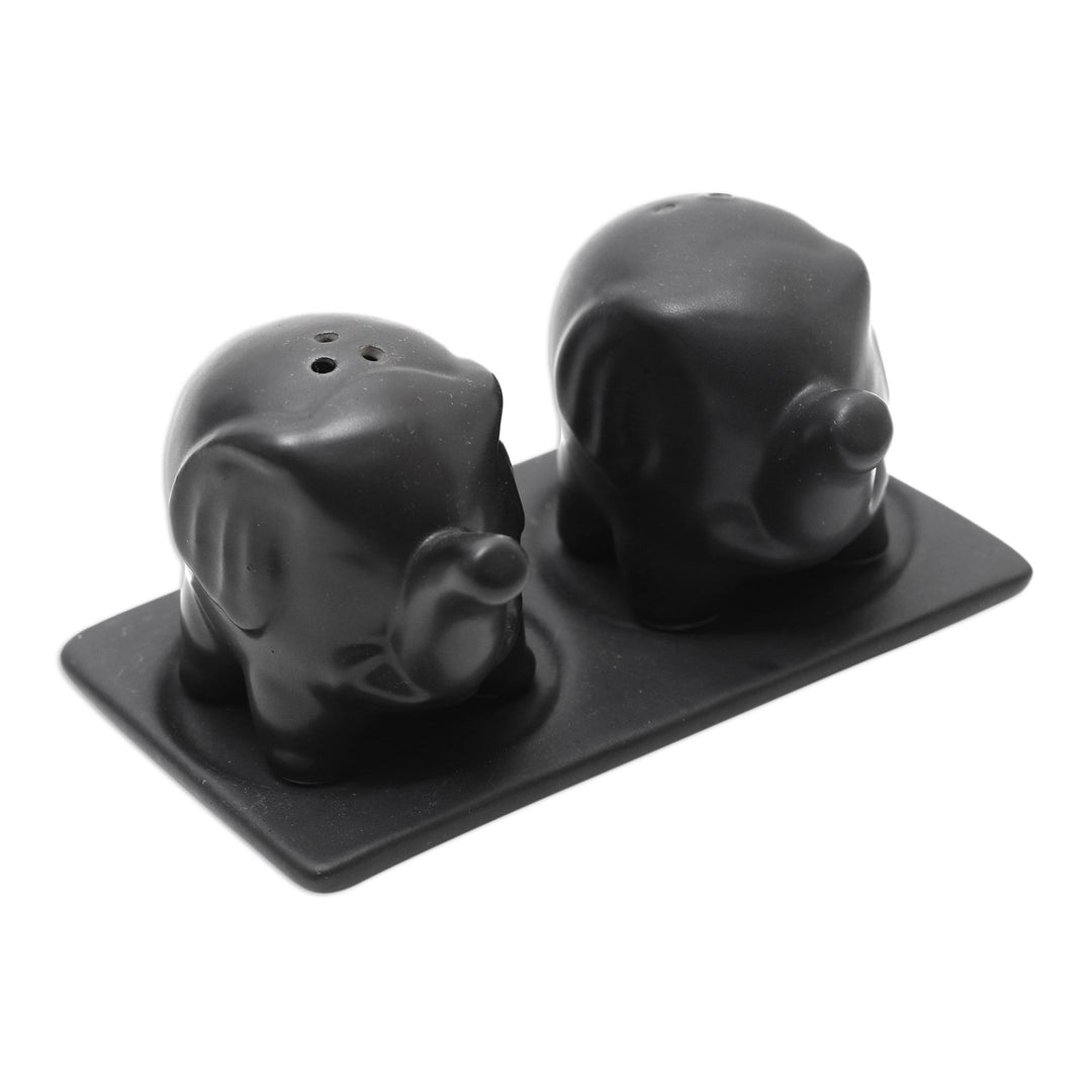 Matte Black Ceramic Elephant Salt and Pepper Set with Tray - Eager Elephants in Black