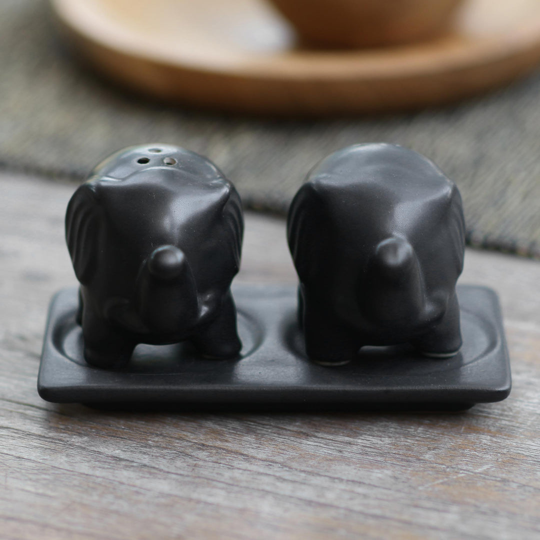 Matte Black Ceramic Elephant Salt and Pepper Set with Tray - Eager Elephants in Black