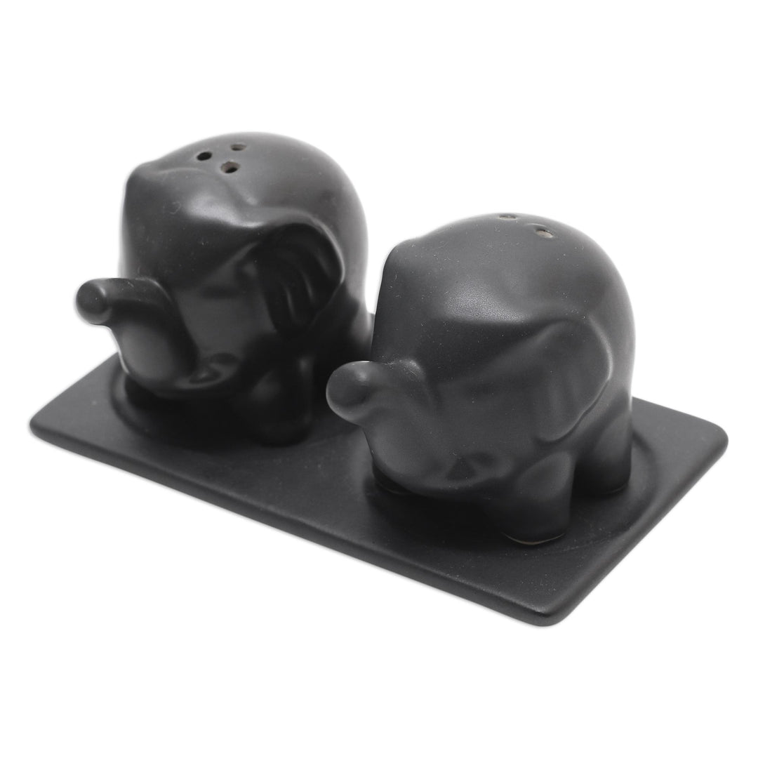Matte Black Ceramic Elephant Salt and Pepper Set with Tray - Eager Elephants in Black