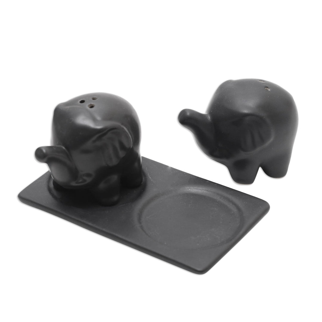 Matte Black Ceramic Elephant Salt and Pepper Set with Tray - Eager Elephants in Black