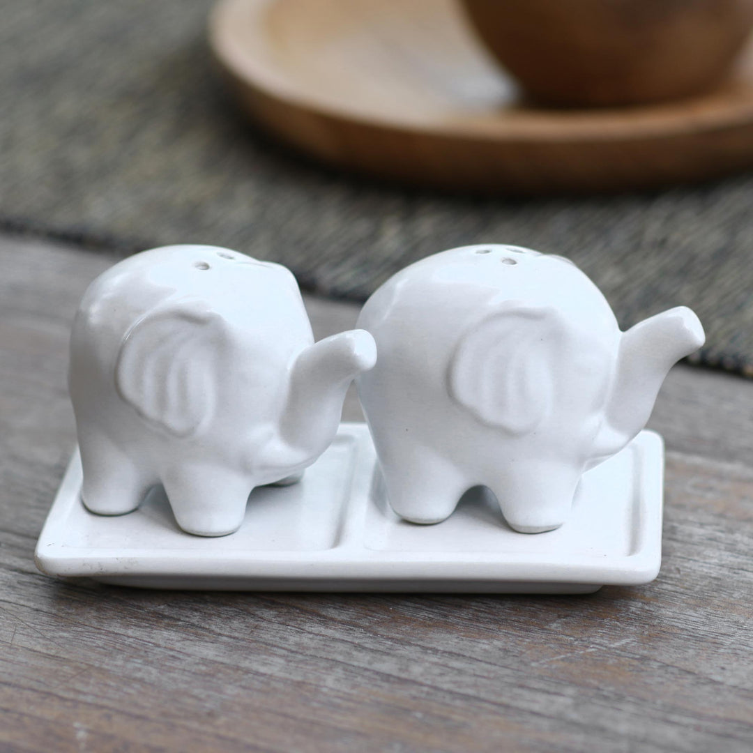 Matte White Ceramic Elephant Salt and Pepper Set with Tray - Eager Elephants in White
