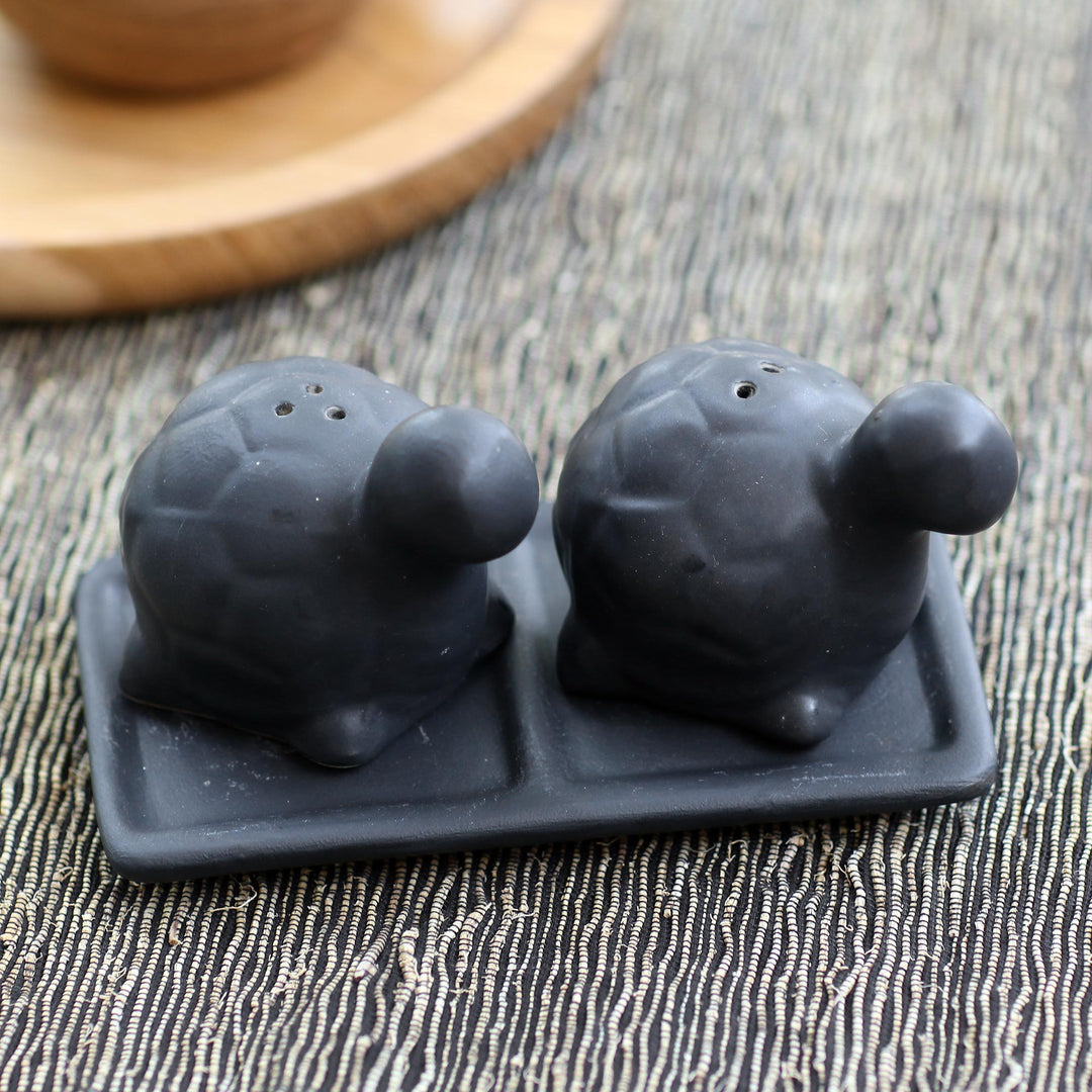 Tortoise Friends in Black