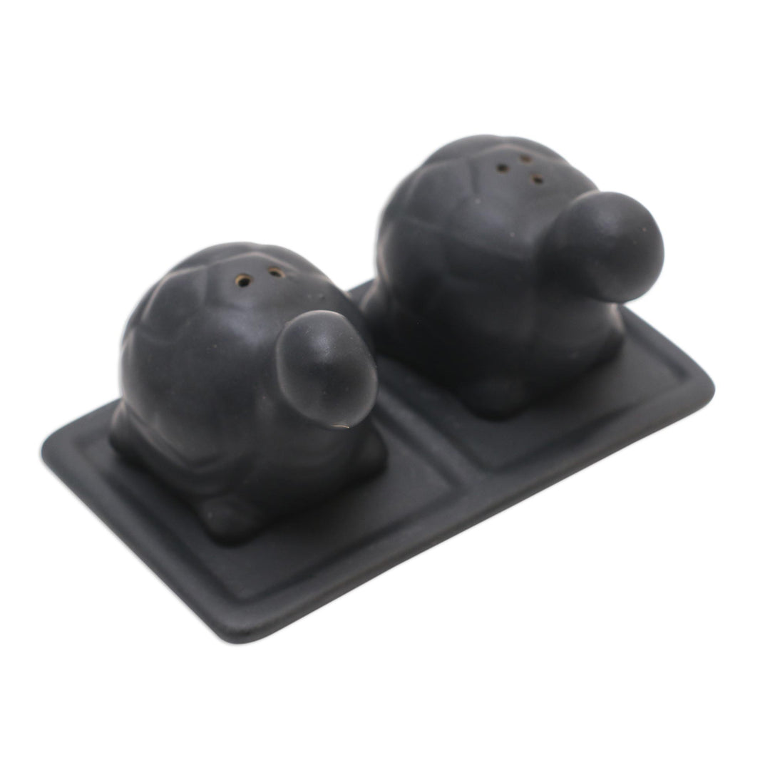 Matte Black Ceramic Turtle Salt and Pepper Shakers with Tray - Tortoise Friends in Black